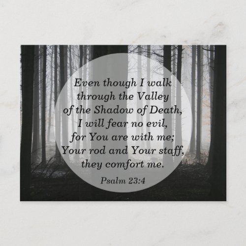 Psalm 234 I will Fear No Evil Bible Verse Memory Postcard