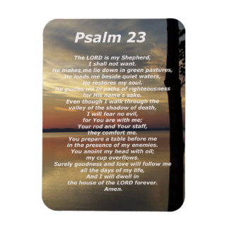 Psalm 23 (5) magnet