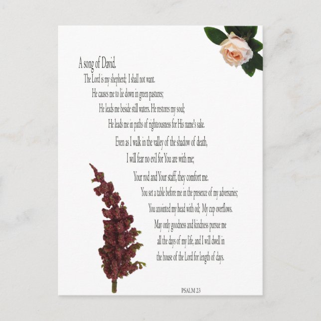 Psalm 23, Green Plant Floral Postcard of David (Front)