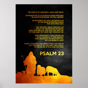 Psalm 23 poster