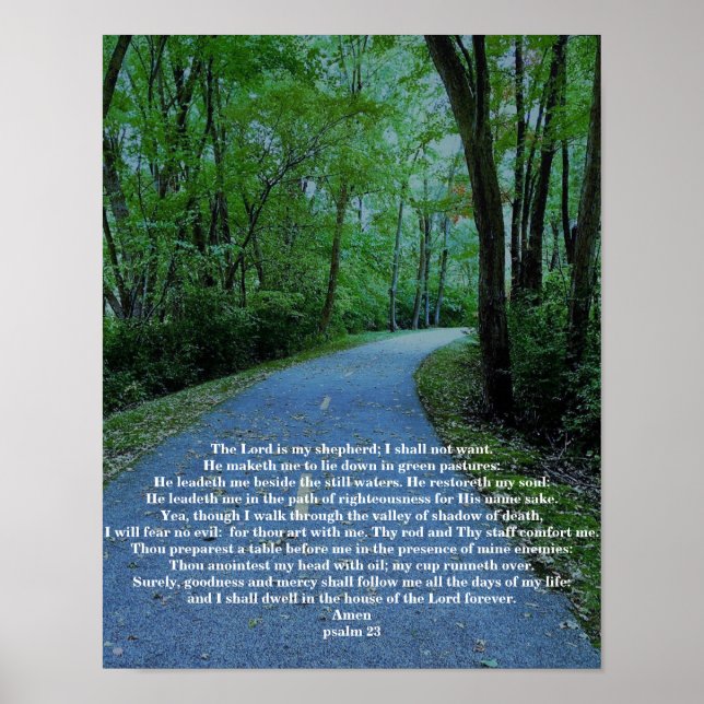 PSALM 23 POSTER (Front)
