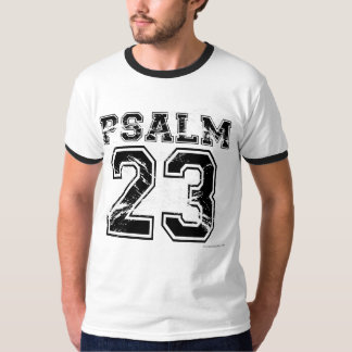 Psalm 23 Sports Tee