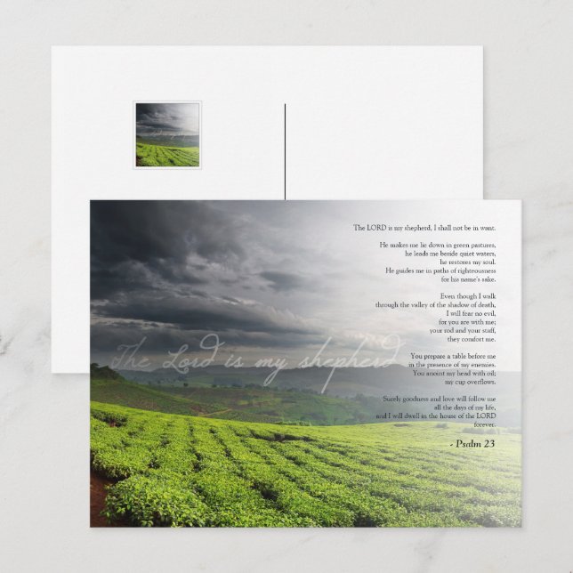 Psalm 23  The LORD is my shepherd - Bible Postcard (Front/Back)