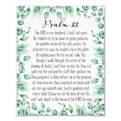 Psalm 23 The Lord Is My Shepherd Eucalyptus Photo Print