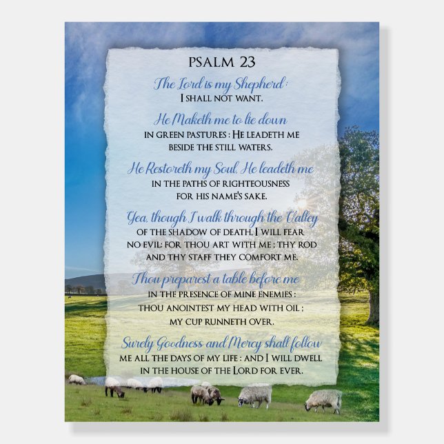 Psalm 23 - The Lord is my Shepherd  Foam Board (Front)