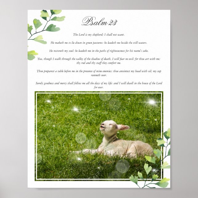 Psalm 23 The Lord is my Shepherd Photo Poster (Front)