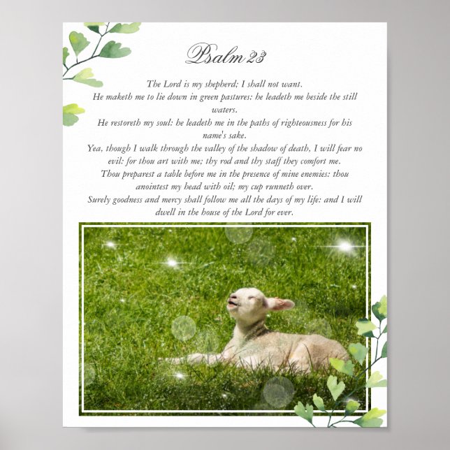 Psalm 23 The Lord is my Shepherd Photo Poster (Front)