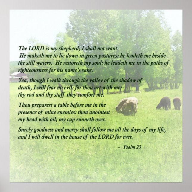 Psalm 23 The Lord Is My Shepherd Poster (Front)