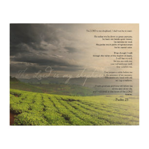 Psalm 23 The Lord Is My Shepherd Vineyard Art