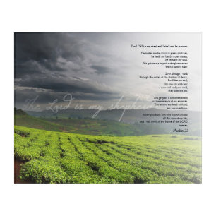 Psalm 23 The Lord Is My Shepherd Vineyard Art