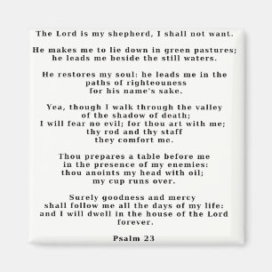 Psalm 23white magnet