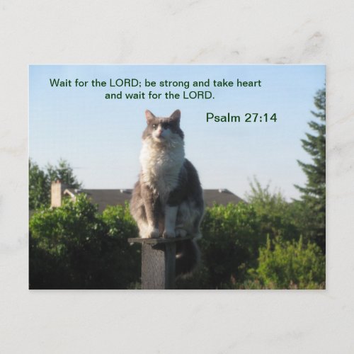 Psalm 2714 and Crosseyed cat Postcard