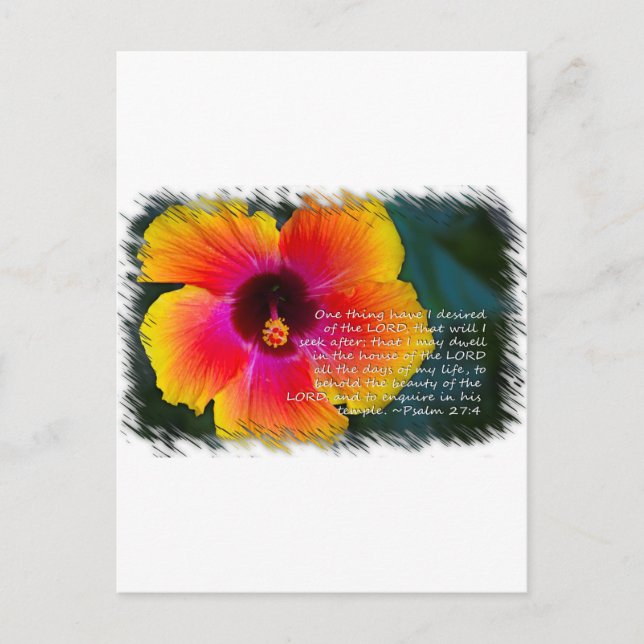 Psalm 27: 4 on White Postcard (Front)