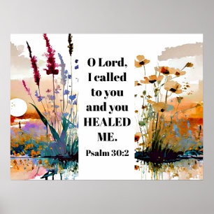 Psalm 30 2 O Lord I cried to You and You healed me Poster