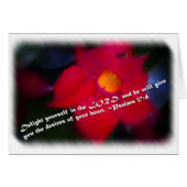 Psalm 37:4 on White (Front Horizontal)