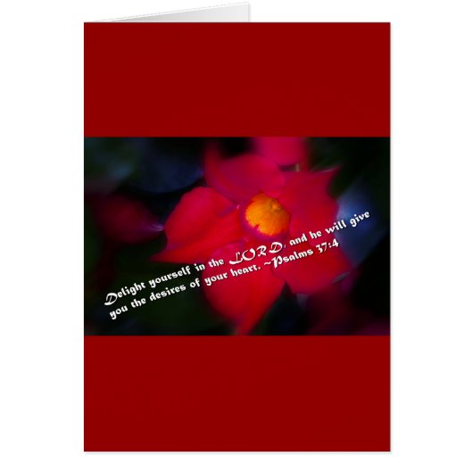 Psalm 37:4 Red Background (Front)