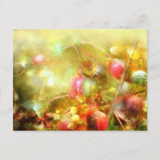 Psalm 37 postcard