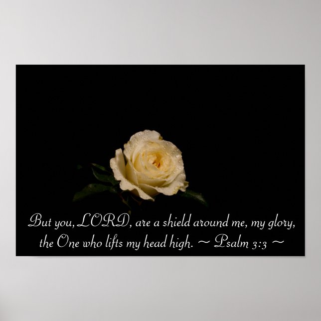 Psalm 3:3 poster (Front)