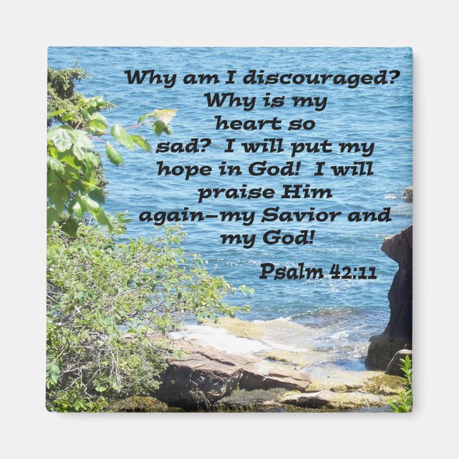 Psalm 42:11 magnet (Front)