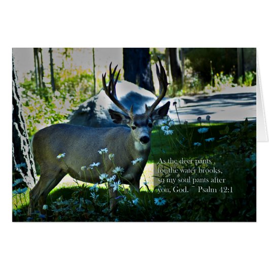 Psalm 42:1 and Deer (Front Horizontal)