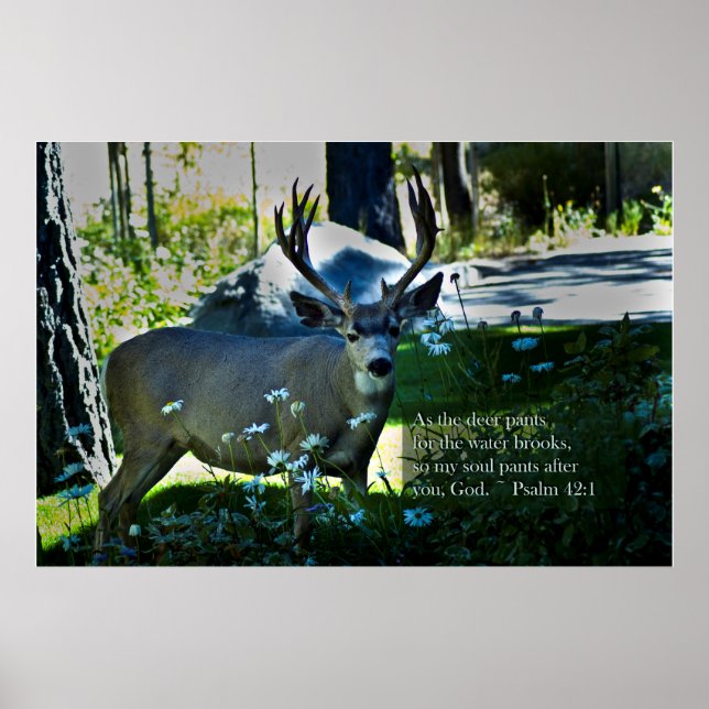 Psalm 42:1 and Deer Poster (Front)