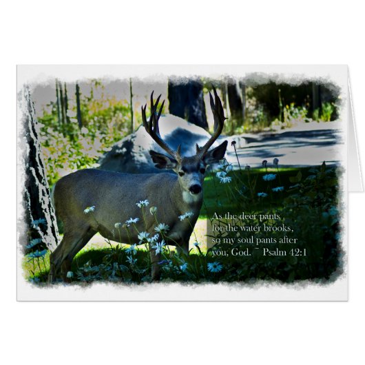 Psalm 42:1 and Deer White Border (Front Horizontal)