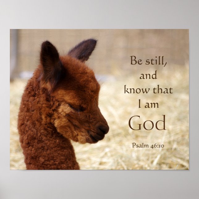 Psalm 46:10 Alpaca Poster (Front)