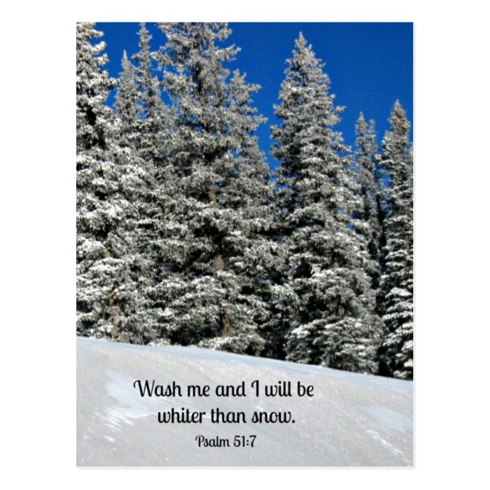 Psalm 517 Wash me and I will be.Post Card