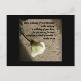 Psalm 59:16 White Rose Postcard