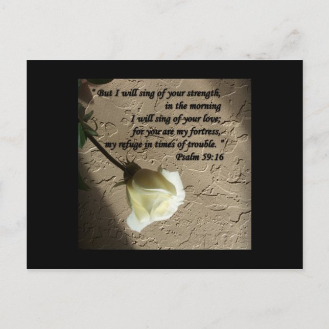 Psalm 59:16 White Rose Postcard (Front)
