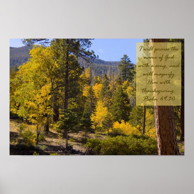 Psalm 69:30 Poster (Front)
