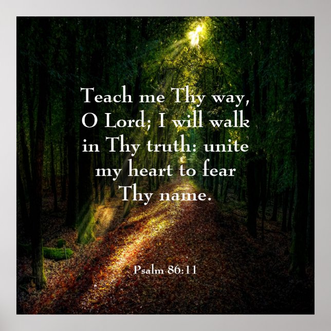 Psalm 86:11  poster (Front)
