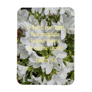 Psalm 8:1 O Lord, our Lord, how majestic is Magnet