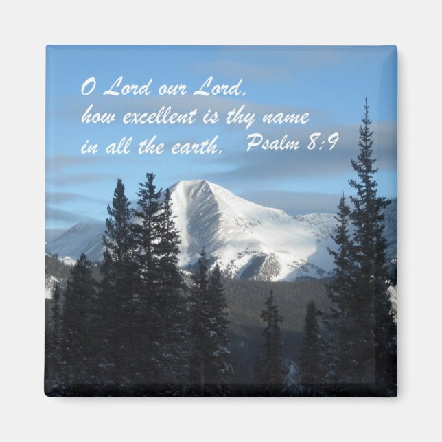 Psalm 8:9 magnet (Front)