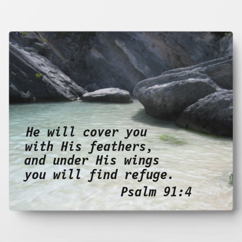 Psalm 914 He will cover you with His feathers Plaque
