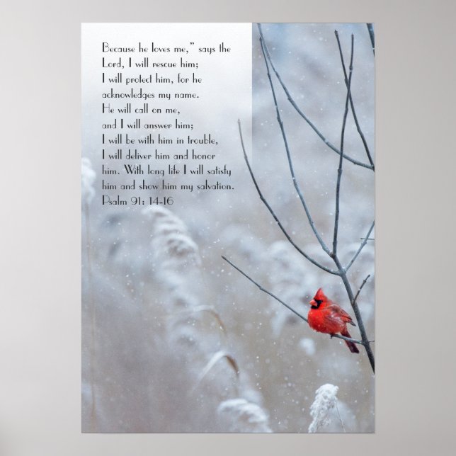 Psalm 91, Christian poster with a red bird (Front)