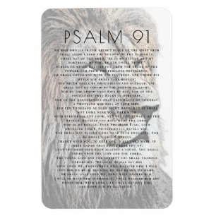  Psalm 91 Lion Head Bible Verse Magnet