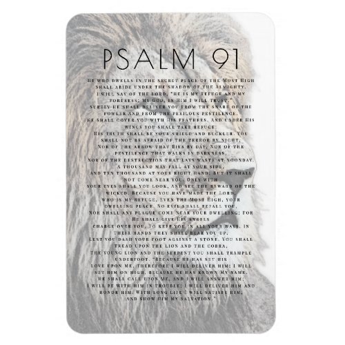  Psalm 91 Lion Head Bible Verse Magnet