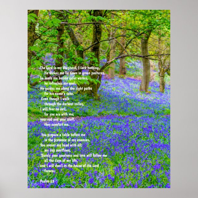 Psalm 91 on bluebells forest, poster (Front)