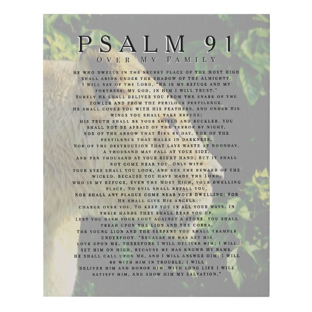 Psalm 91 Over My Family Lion   Faux Canvas Print (Front)
