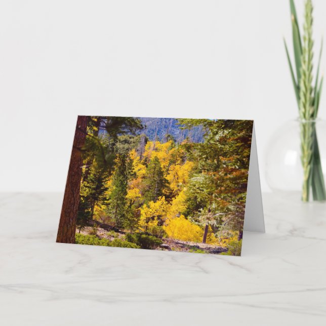 Psalm 95:2 Card (Front)