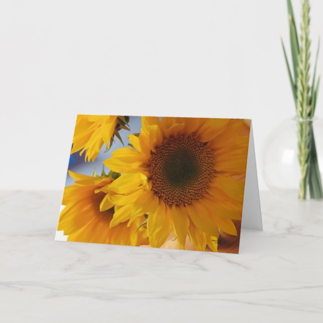 Psalm 96:1 Sunflowers Blank  Card (Front)