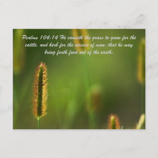 Psalms 104:14 He causeth the grass to grow for the Postcard