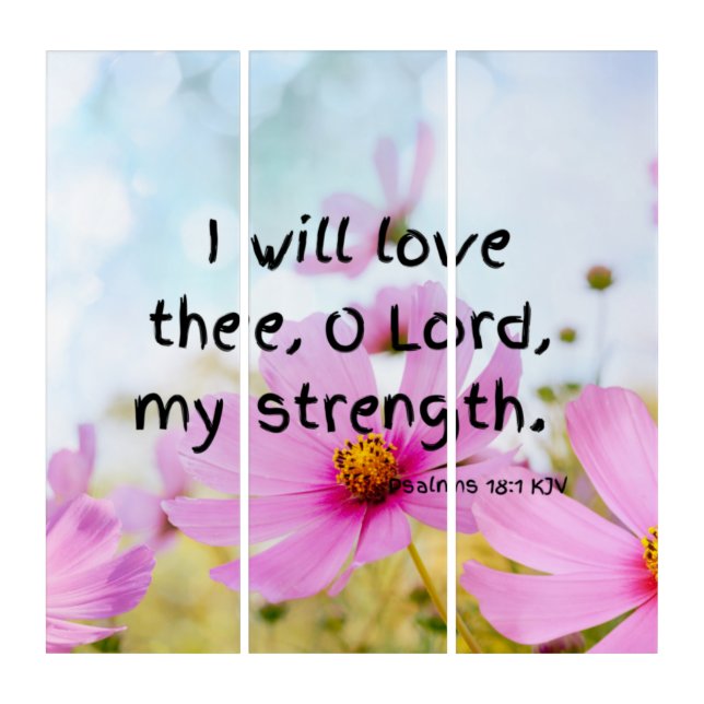 Psalms 18:1 KJV Bible Verse Pic Wall Art (Front)