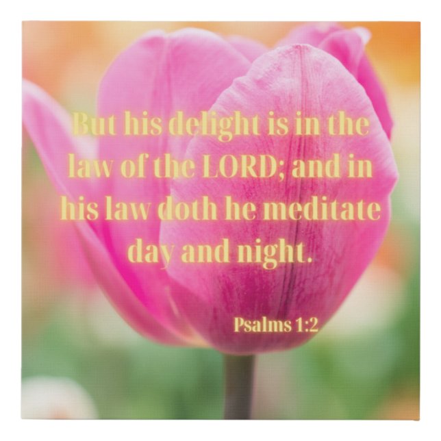 Psalms 1:2 Bible Verse KJV Pic Wall Art (Front)