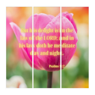 Psalms 1:2 KJV Bible Verse Pic Wall Art