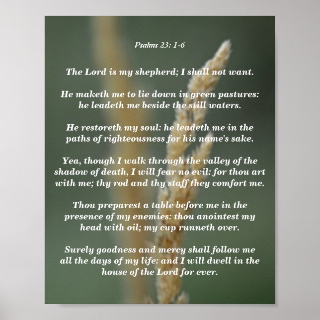 Psalms 23: 1-6 poster (Front)