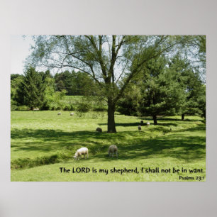 Psalms 23:1 poster