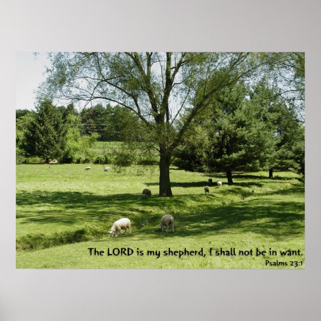 Psalms 23:1 poster (Front)