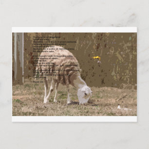 Psalms 23 postcard